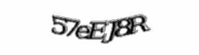 Security check image, please type the characters shown