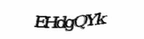 Security check image, please type the characters shown