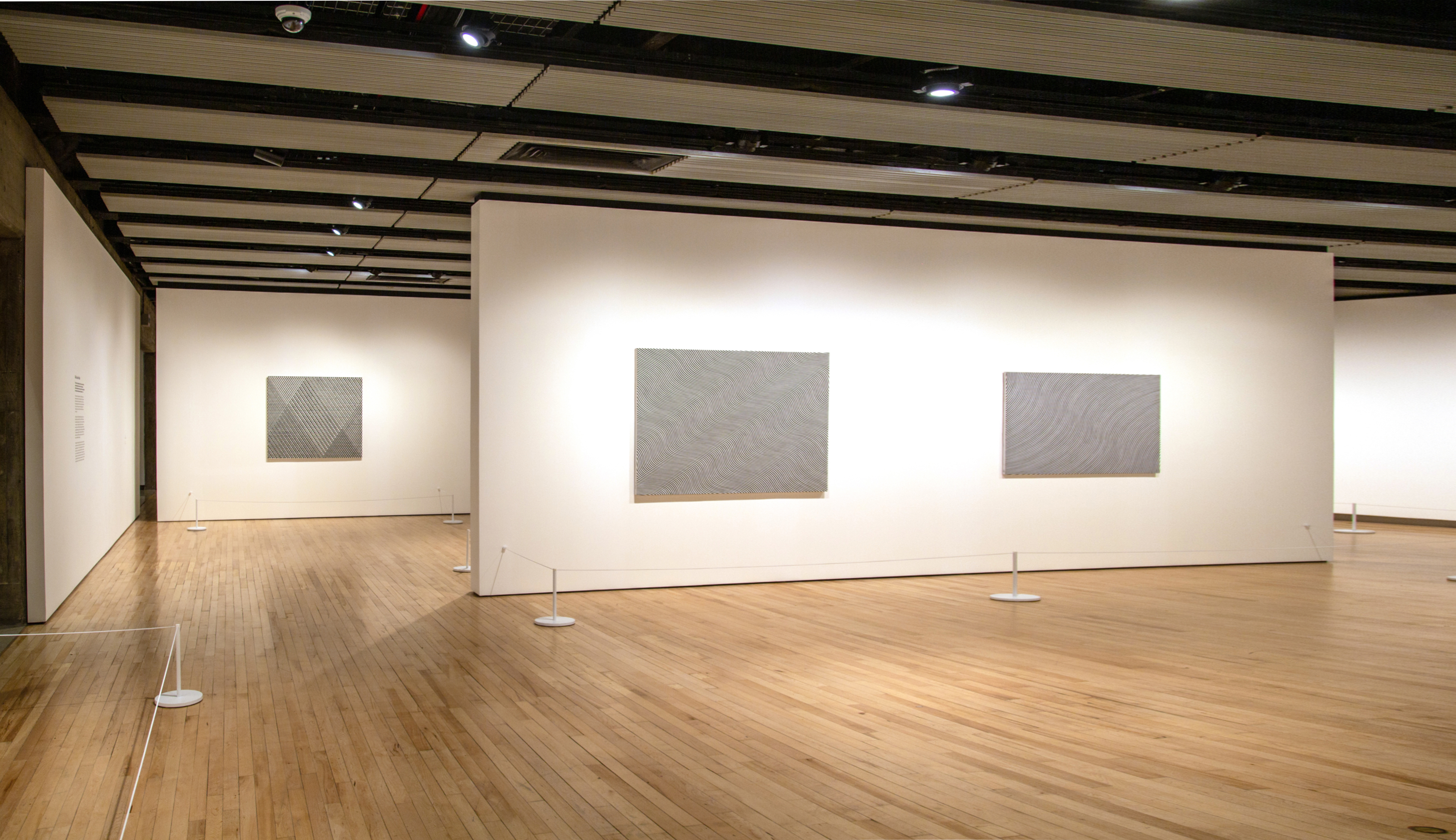Bridget Riley Hayward