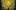 Yellow and Black Flying Creatures Circling towards the Shining Sun