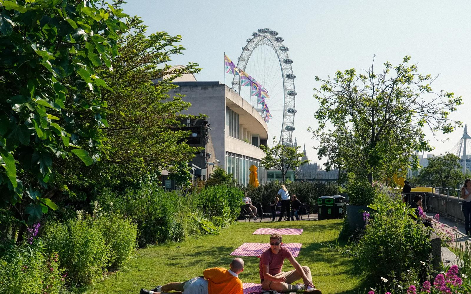 Queen Elizabeth Hall Roof Garden in London
