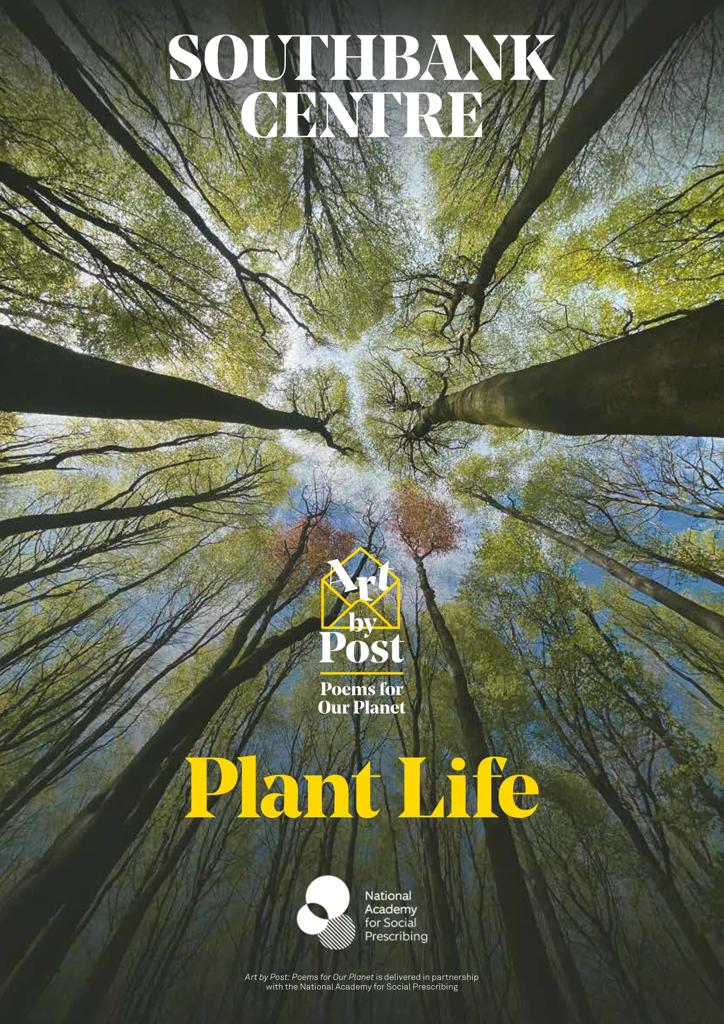 Front cover of the Art by Post booklet titled 'Plant Life' featuring tall trees in a woodland viewed looking upwards from the trunks to the canopy