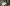 Black and white image of a certificate being awarded to a woman for being the 1 millionth visitor to the Royal Festival Hall.