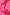 Two people holding hands and dancing digitised in red against a pink background