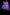 A flower with purple petals on fire
