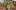 Artwork collage of two women and one man next to roses and other cut out natural themed images