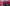 Five women smile in front of a bright pink 