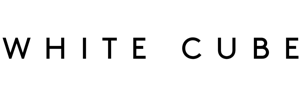 Black text 'white cube'