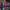 The windows of the Queen Elizabeth Hall foyer hold designs of multicoloured neon light.