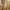 A close-up shot of a person in a red cap and a white t-shirt, their face obscured in a warm, hazy crowd.
