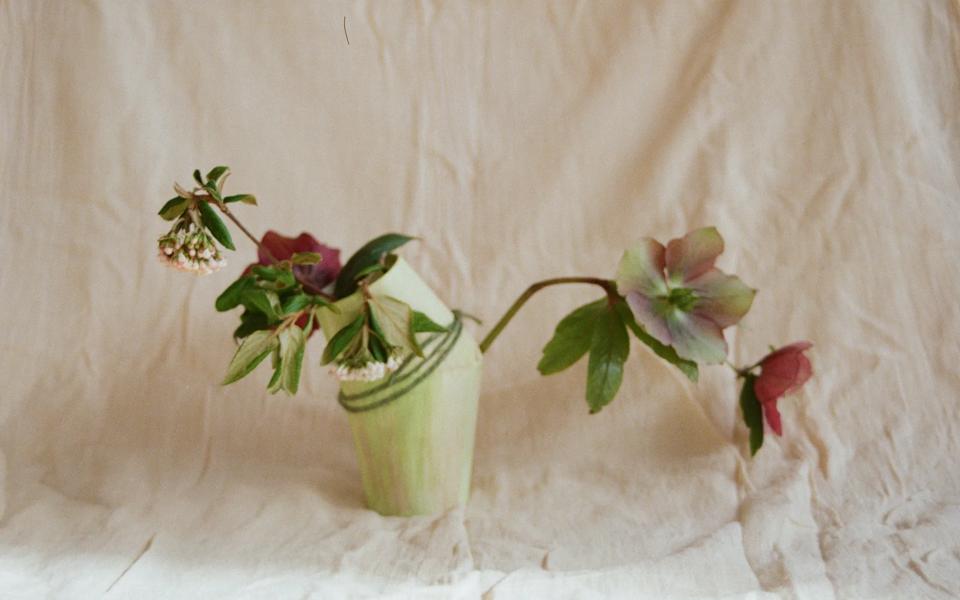 Creative Encounters: (Almost) Ikebana