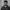 Razik Darji a young man with short dark hair and a small moustache stands in front of a concrete wall