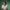 Rwandan–French singer, songwriter, rapper, and writer Gael Faye in a white shirt against a green background