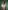 Rwandan–French singer, songwriter, rapper, and writer Gael Faye in a white shirt against a green background