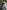 A person with short curly hair leans against a large tree trunk, wearing a green and black patterned button-down shirt.
